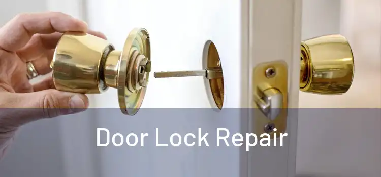 Door Lock Repair